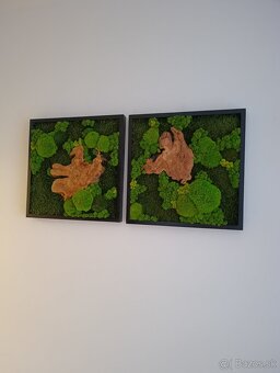 Machový obraz OLIVA - 6