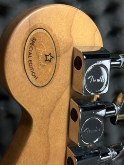 Fender Strat Player Special CS Fat 60's Coils - 6