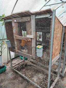 Klietka / voliera - 6