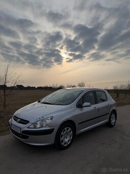Peugeot 307 - 6