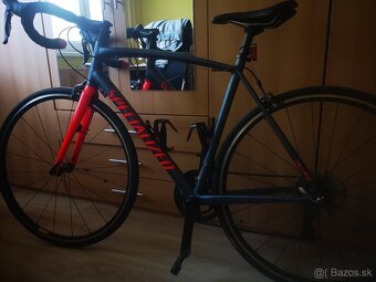 SPECIALIZED ALLEZ SPORT 56 - 6