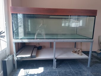 Akvarium - 6