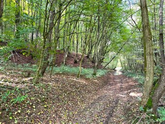 Raslavice – 156.000 m2 LESOV (87,6% podielov na LV) - 6