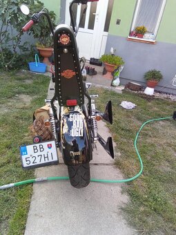 ZIMNA CENA Harley Davidson 883 - 6