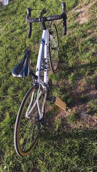 Specialized dolce 44cm - 6