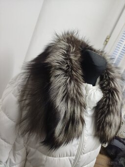 Pravá strieborná líška na kapucňu atď. - 6