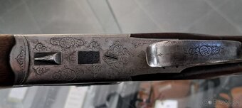 GULOBROKOVA KOZLICA CONRAD HEYM SHUL - 6