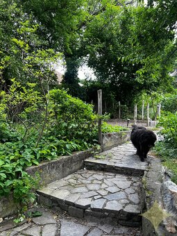 Predaj dvoch vidieckych rodinných domov - 6