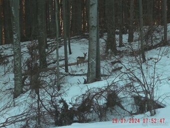 Predám NV PARD DS 35 + prisvit TENOSIGHT 940 - 6