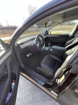 Predam Tesla model Y performance - 6