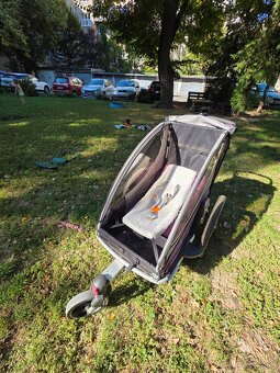 Detský vozík Queridoo Sportrex 1 2016 - 6