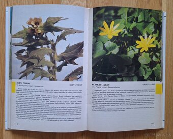 Prirucny atlas liecivych rastlin - 6