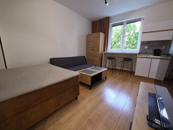Novozrekonštrovaná Garzonka-Centrum-Ces.Pri Nemocnic - 6