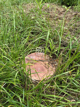 Stavebný pozemok 1756 m2 v obci Telkibánya, Maďarsko - 6