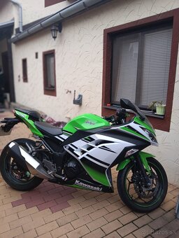 Kawasaki Ninja 300 30th anniversary edition - 6