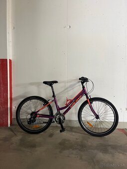 Dievčenský bicykel Galaxy Ruby 24" - 6