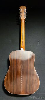 Dowina Cabernet + L.R. Baggs Anthem - 6