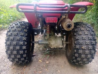 Honda TRX 250ex - 6
