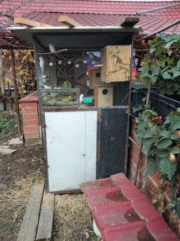 Predám andulky a korely s klietkou - 6