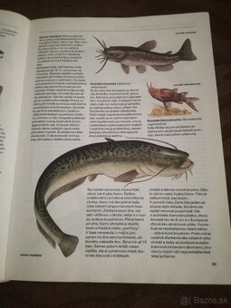 Mix zaujímavých  kníh_znizena cena - 6