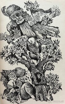 Shakespeare, Hemingway, Remarque, Tolstoj … - 6