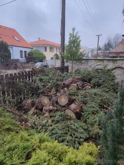 Darujem drevo a konáre - 6