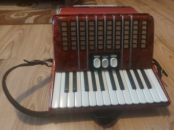 Harmonika Delicia Junior 4 - 6