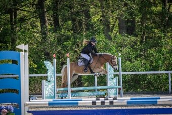 Kllisna hafling, Pony B - 6