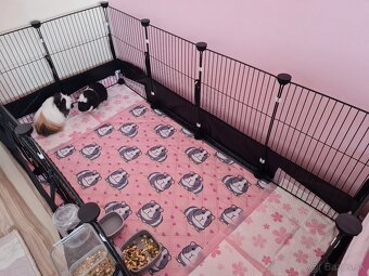 Klietka pre morčatá - 6