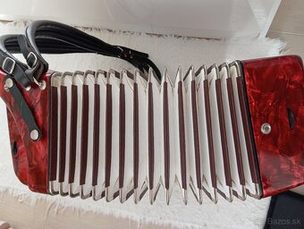 akordeon-harmonika - 6