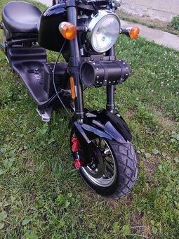 Elektro Chopper - 6