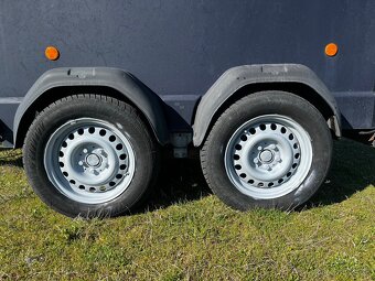 Konský prepravnik Westfalia 2007 - 6