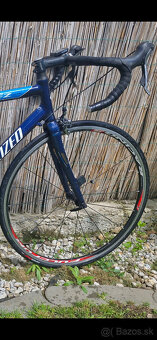 SPECIALIZED - 6