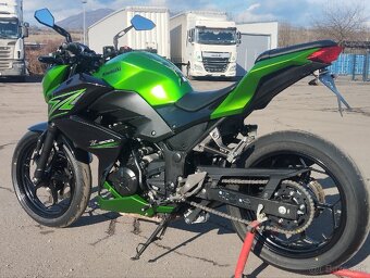Kawasaki Z 300 - 6
