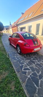 Vw beetle - 6