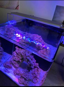Svetlo na morské akvárium BLAU Mini Lumina 40 RGB+ Marine - 6