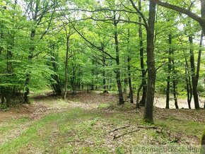 Lesné pozemky v obci Hrušov - 6