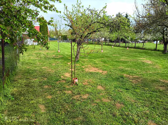 zahrada na prenajom - 6