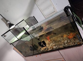 Akvárium z taratium na vrhu aj externý filter rybky a prísav - 6