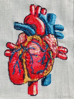 Krížiková výšivka/ obraz Anatomické srdce - 6