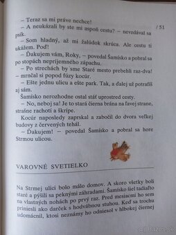 Hľadajte Šamiska (Anna Minichová) - 6