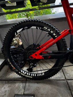 CANYON SPECTRAL ON(2020) “L” - 6