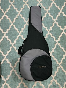 Ovation Celebrity CS Standard - 6