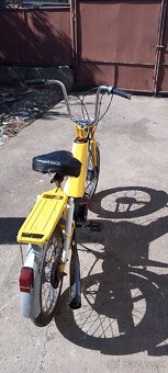 Babeta 207 - 6