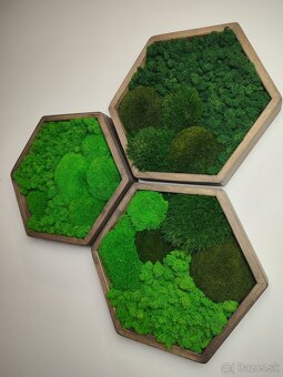 Machový obraz HEXAGON - 6