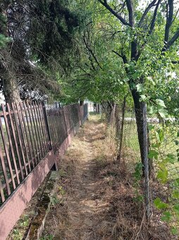 Záhrada na Zemplínskej Šírave - 6