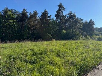 Predaj stavebného pozemku 1002 m² – Trebostovo, pod lesom - 6