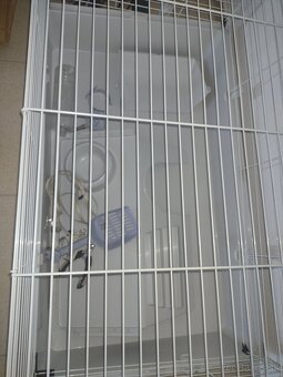 Predám klietku pre zajaca+doplnky - 6