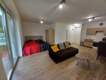 DELTA- Novostavba 1 izbového bytu s terasou, Living Park - 6