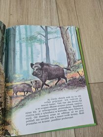 Moja najkrajsia kniha o zvieratkach - 6